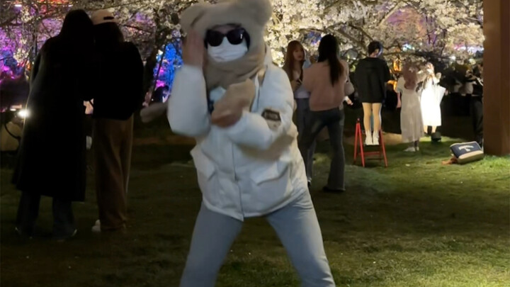 春天到了 又到了跳爱情鸟的季节了