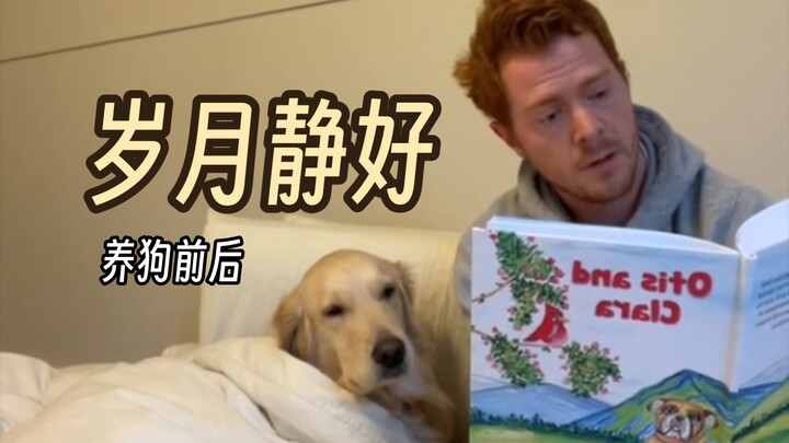 我不喜欢狗狗！我装的…