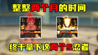 攒了整整两个月，终于一口气拿下黄猿和红狗，纯度更上一层楼！