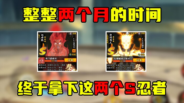 攒了整整两个月，终于一口气拿下黄猿和红狗，纯度更上一层楼！