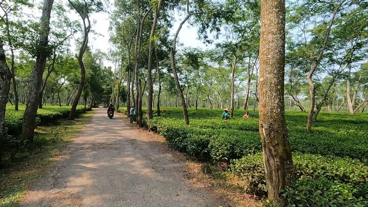 तू ही मेरा प्यार