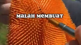 pengetahuan sedikit