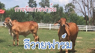 หลักการจัดการฟาร์มของลีวายฟาร์ม | 4 ก.ค 62 |