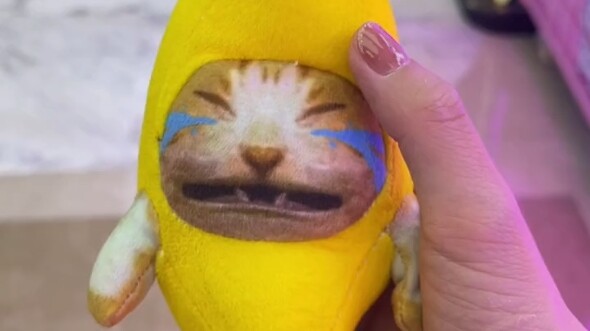 ใครกันที่ตาบอดขนาดนั้น ถึงได้เดินชนแมวกล้วยของฉันจนมันร้องไห้?