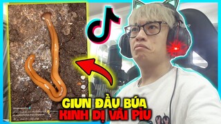 HÙNG AKIRA REACTION TIK TOK VN SINH VẬT KÌ LẠ GIUN ĐẦU BÚA VÀ BỐ CON XEM SIÊU NHÂN GAO CỰC HÀI HƯỚC
