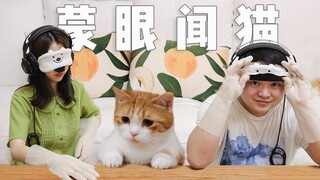 闻气味猜猫游戏！男朋友作死耍诈，猫：分手猫房？【花花与三猫】