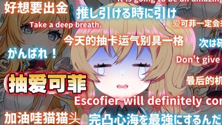【原神/熟肉】南登猫猫头最后两小时抽爱可菲，因为连续肝了一周的石头，160抽还不出心态崩了