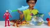 Ozawa opens the box to play with a shark-shaped water gun toy, and an assembled crocodile toy that c