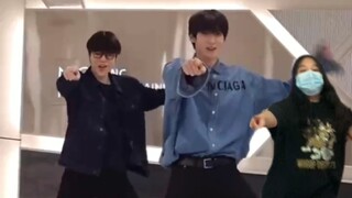 เมื่อไหร่จะใส่ลูกชิ้นปลาลงในซอสคะ?
