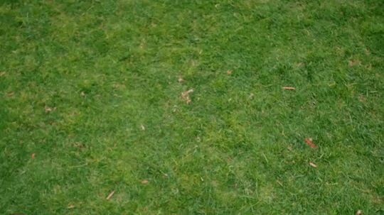 VVUP - Aint Nobody ( MV )