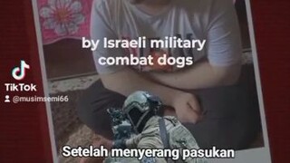 Meninggal karena  ...