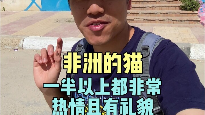 How could you bear to swipe away so many polite little African kitties?