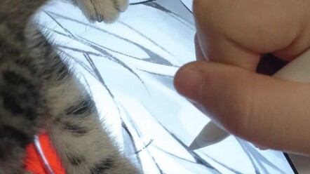 Cat Master, I’m begging you!