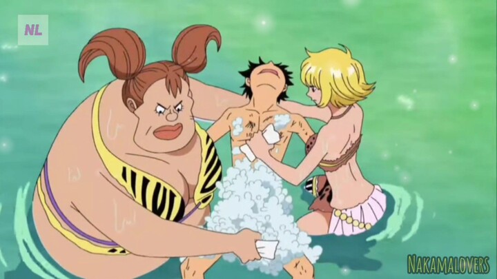 Momen titit Luffy di mainin brutal di Pulau wanita!!🥵😭 rekomendasi anime one piece