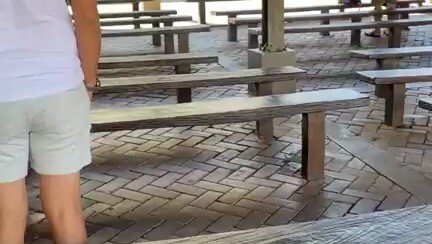 生活时常有雨 我反复被打湿 然后放晴