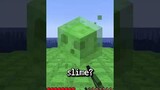 When Slimes Drop Diamonds in Minecraft