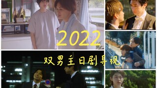 2022年开年至今的五部双男主日剧盘点