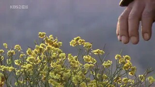 The kingdom of the wind ep 1