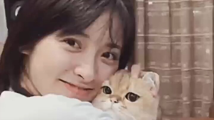 เสิ่นเยว่ ไม่ว่าใครยืนอยู่ใต้ต้นซากุระก็ล้วนงดงาม