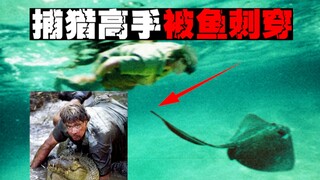 [Kematian Crocodile Hunter x Hunter] Mengabdikan hidupnya untuk melindungi hewan liar, dia secara ti
