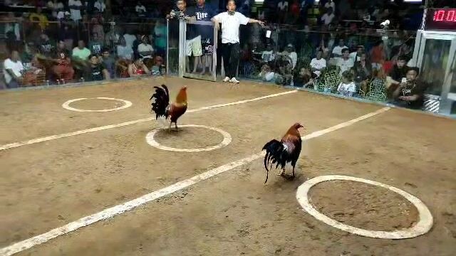 pure sweater Win Tayo