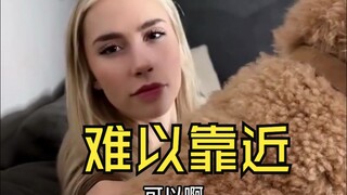 你的狗子，不喜欢它的“新爸”