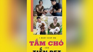 1 ngày giúp mẹ tắm chó của Tiến Pet