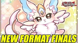 Purrely A Yu-Gi-Oh! Finals
