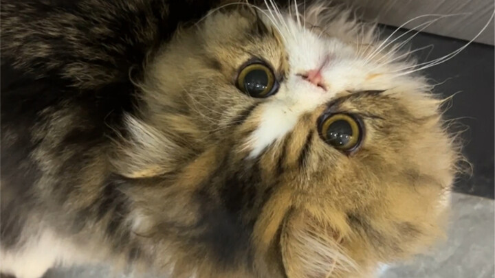 วิ่งมาไกลขนาดนี้ ทุ่มเงินมากมายขนาดนี้ ก็แค่เพื่อมาตรวจเรื่องนี้ให้คุณเหรอ?