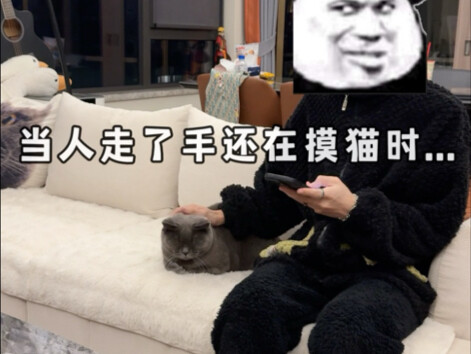 When the hand is still touching the cat after the person leaves