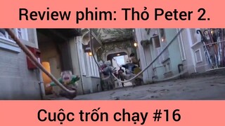 Review phim: Thỏ Peter Cuộc Trốn Chạy Phần 16
