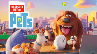 The Secret Life Of Pets (2016) | Full Movie | 720P HD Quality | Magic Boom!