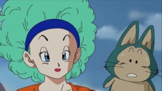 【Arah cinta; Vegeta & Bulma】 Saling mencintai dengan diam