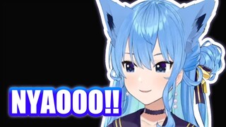 Sui-chan Mimics A Cat to Fend off Ghosts in Shadow Corridor
