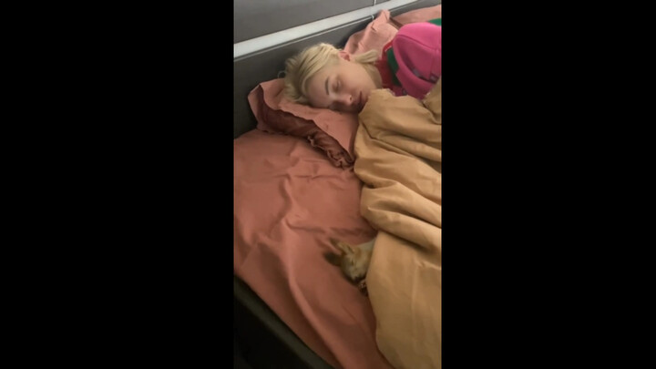 You two are exactly the same.