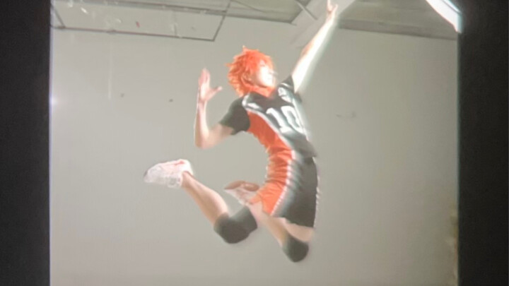 Fly