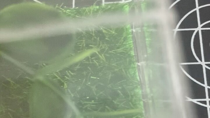 Waduh, anakku kecanduan internet parah, apa yang harus dilakukan? Main-main aja loh ˇ3ˇ Cuma mau kas