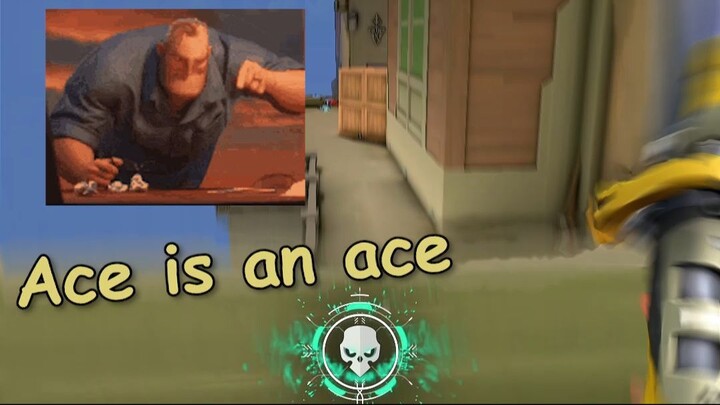 Ace is an ace