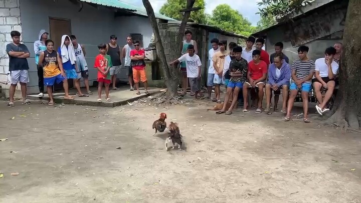 2x in one day texas kalaban