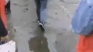 สังคมขาดคนที่มีจิตสำนึกความยุติธรรมเช่นนี้ สนับสนุนเต็มที่!