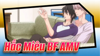 [Hắc Miêu BF AMV] Báo ở trên & Mèo ở dưới / Bẫy con mèo nhỏ ngây thơ