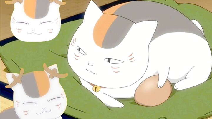 LOL, Natsume actually let the cat teacher hatch eggs