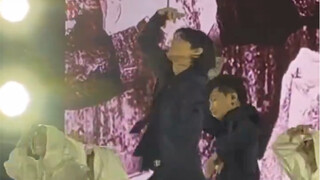 跳得太爽了 直观感受此狗舞蹈水平