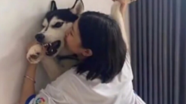 Jika Belum Pernah Menjalani Hidup Anjing, Jangan Memintanya untuk Berbaik Hati!
