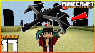 Ender Dragon Fight! | Minecraft Survival Let's Play | Episode 17