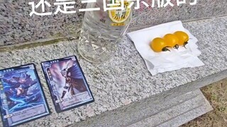 Three Kingdoms Kill players, come out!!!