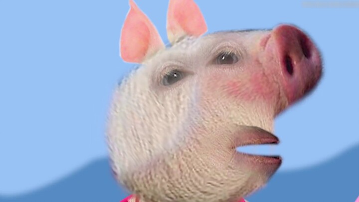 Bagaimana rasanya menonton "Peppa Pig" versi babi asli di mana babi asli terlihat seperti pengering 