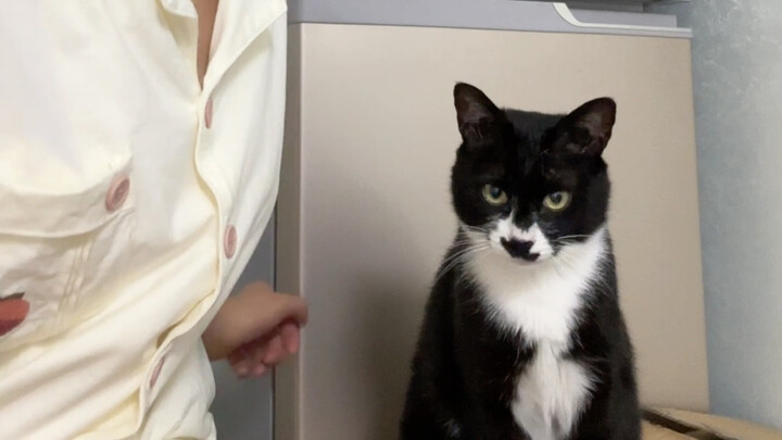 他应该没有发现吧？