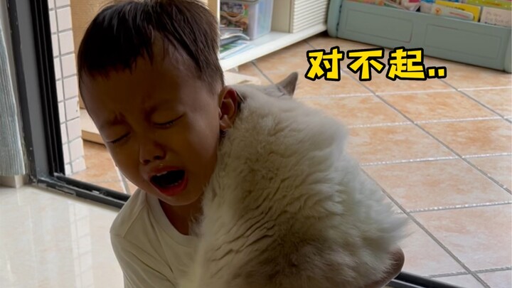 My cat ran away… My son’s heart is broken too. Everyone, take this as a warning: Please, please keep