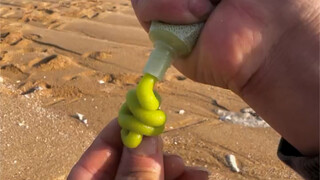 Today, while foraging by the seaside, I unexpectedly discovered a group of delicacies said to come f